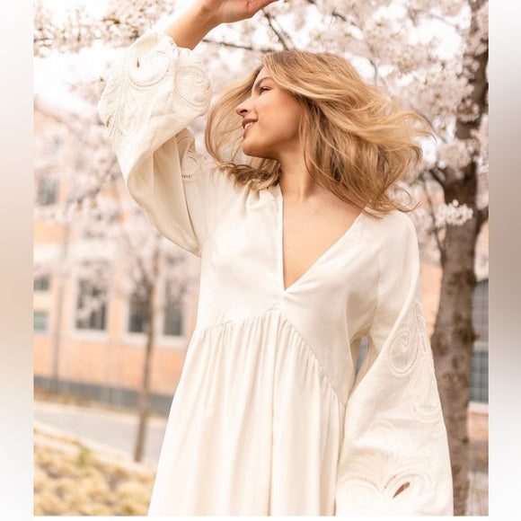 H&M Embroidered Dress