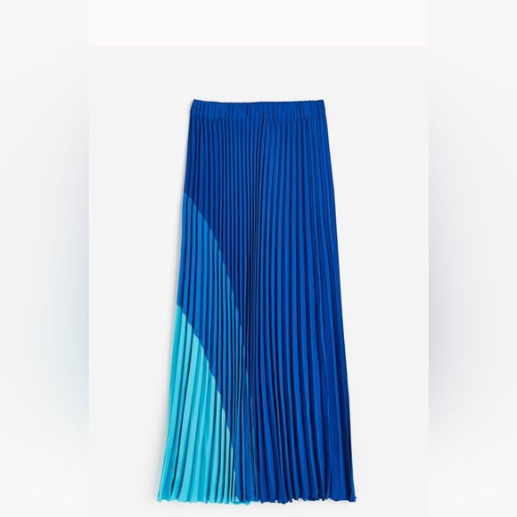 H&M Pleated Skirt